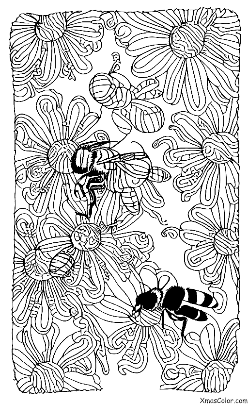 Christmas / Bumble: Bumblebees collecting pollen from flowers