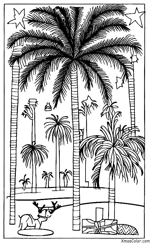 Christmas / Christmas in the desert: A desert oasis with a Christmas palm tree