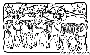 Christmas / Christmas in the desert: Reindeers in the desert