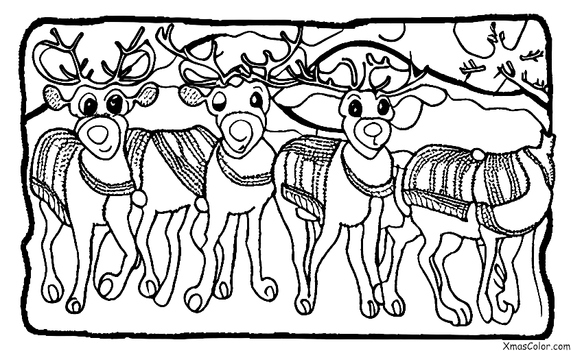 Christmas / Christmas in the desert: Reindeers in the desert