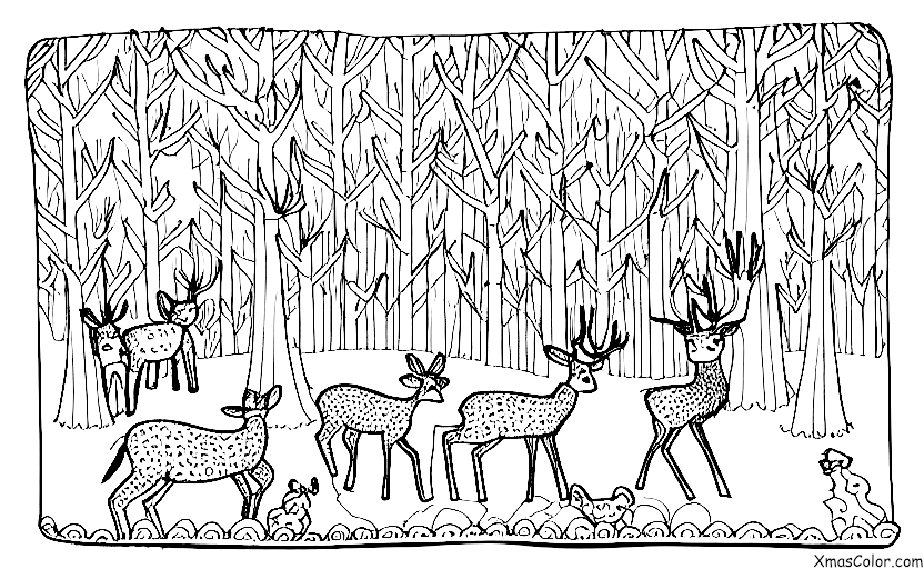 Christmas / Christmas in the mountains: A family of deer enjoying the winter scenery