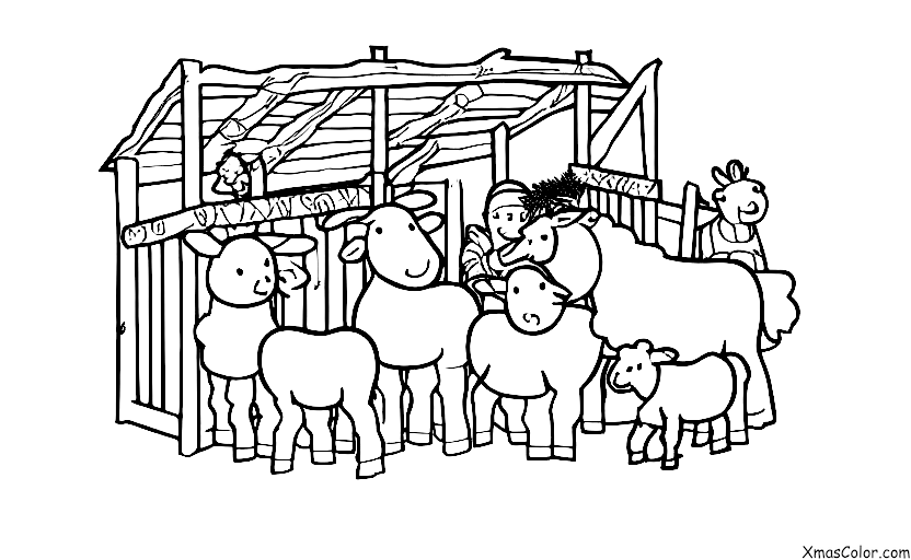 Christmas / Christmas on a farm: The Nativity scene