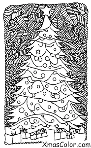 Christmas / Christmas Trees: A Christmas tree in a forest