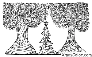 Christmas / Christmas Trees: A Christmas Tree in the forest