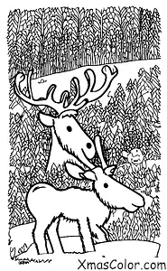 Christmas / Donner: Donner graze in the snow