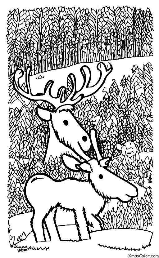 Christmas / Donner: Donner graze in the snow