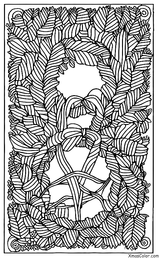 Christmas / Wreaths: A traditional wreath made of evergreen leaves and branches